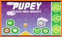 PUPEY-Reach New Heights related image