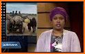 BBC Somali VOA Somali related image