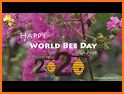 World Bee Count related image