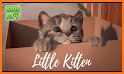 Crazy Kitty Cat Salon & Kitty Daily Activity Game related image