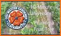 Fruit garden masters related image