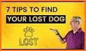 NOSEiD - An Easier Way to Help Find Your Lost Dog related image