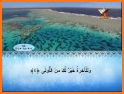 Amharic Quran ታላቁ ቁርዐን በዐማርኛ المصحف الأمهري - قرآن related image