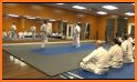 Aikido Test 4 kyu related image