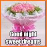 Good Night Flowers related image