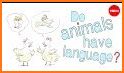 Pet Translation - Perfect Communication with Pets related image