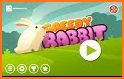 Greedy Rabbit related image