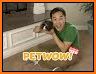 Pet Wow related image