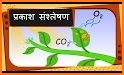 Botany Picture Dictionary for Kids related image