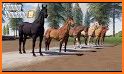 Mounted Horse Racing Games: Derby Horse Simulator related image