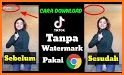 TikSave - Video Downloader for TikTok No Watermark related image