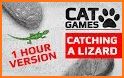 Games for Cats! - Cat Fishing Mouse Chase Cat Game related image