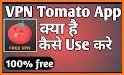 Tomato VPN related image