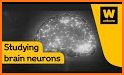 Super Neuron : Free Brain Training related image