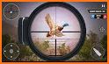 Duck Hunting-Shooting Game related image