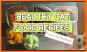 Cat food recipes – Homemade cat food related image