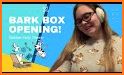 BarkBox - Dog Toy & Treat Box related image