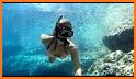 Scuba Diver Swimming Treasure related image