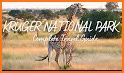 Kruger Park map & field guide related image