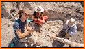 Paleontologist Dinosaur Digging Archeologist Fun related image