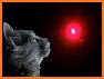 Cat Laser Pointer related image