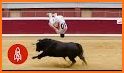 Dodge Bullfighter related image