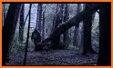 Monster Hunter: Bigfoot Story Of Hunting &Survival related image