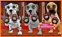 DogWorld Premium - My Puppy related image