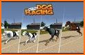 Dog Crazy Race Simulator related image