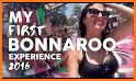 Bonnaroo Music & Arts Festival related image