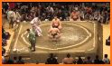 Sumo Wrestling Fight Arena related image