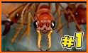 Ant Life - War Simulator related image