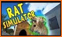 Home Rat simulator related image