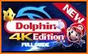 Dolphin Emulator related image