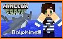 Dolphin Addon For MCPE related image