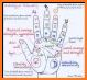 Palmistry Reading Free related image