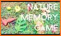 Number of Flowers : Kids Memory Game related image