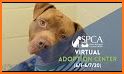 Virtual Animal Shelter Buddies related image