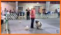 UKC Rally Dog Obedience related image