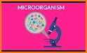 World of Microbes related image