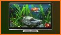 Aquariums on TV via Chromecast related image