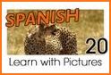 Spanish Safari related image