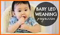 Baby Led Weaning - Chinese Recipes related image