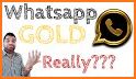 whatsup Gold Messenger GB related image