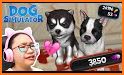 Cute Dog Simulator Puppy Games related image