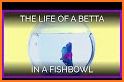 BFF2- Animation Siamese fish related image