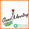 Good Morning GIF 2019 related image