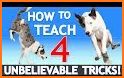 Puppr - Dog Training & Tricks related image