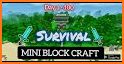 Mini Block Craft 2021 related image