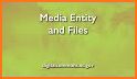 MediaEntity related image